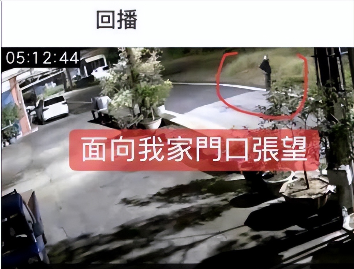 狗狗半夜狂吠被斥责,隔天回放视频感动,妈妈错怪你们了!