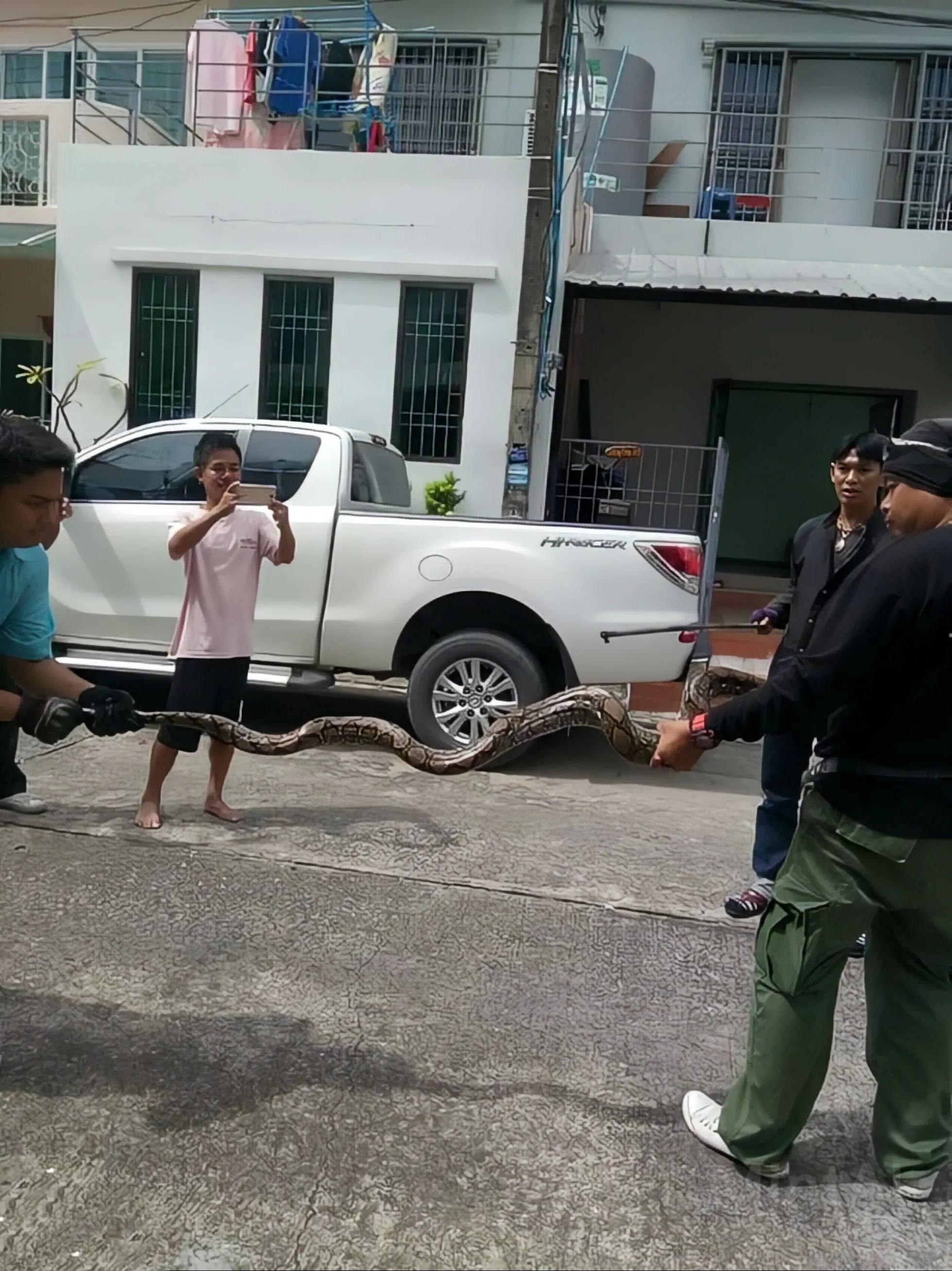 上厕所被蛇咬的人怎么样了,男上厕所被蛇咬了后续