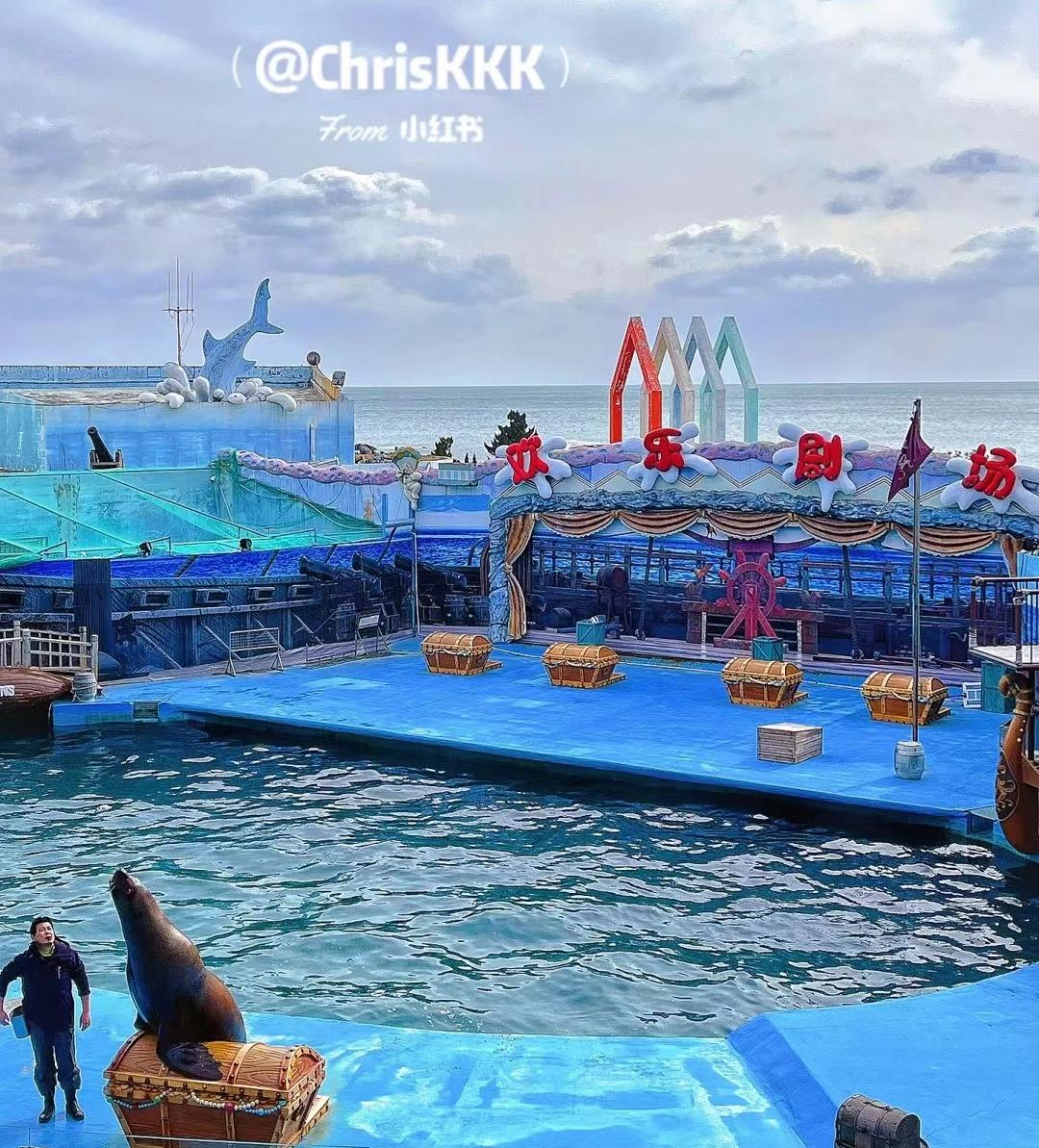 来青岛一定要打卡的地方四天,青岛五一必打卡花海推荐