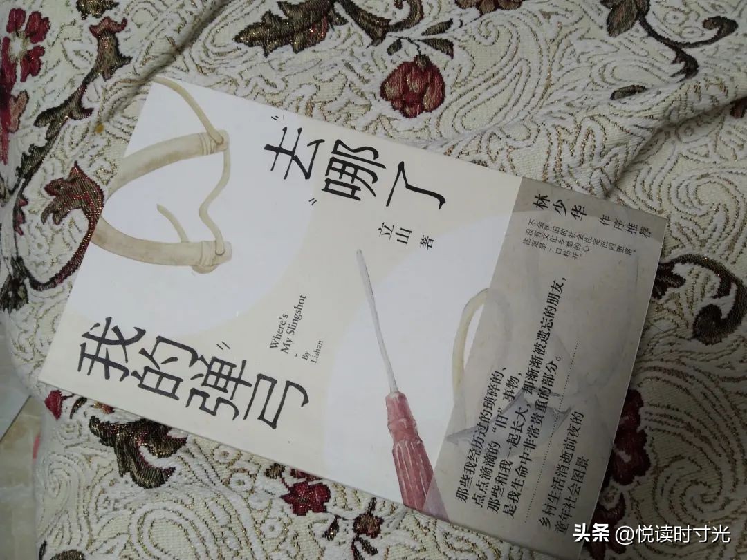 我的弹弓去哪了,我的弹弓去哪了在线阅读