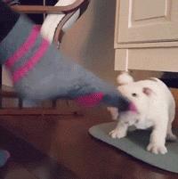 脚特别爱臭,脚好臭是因为什么