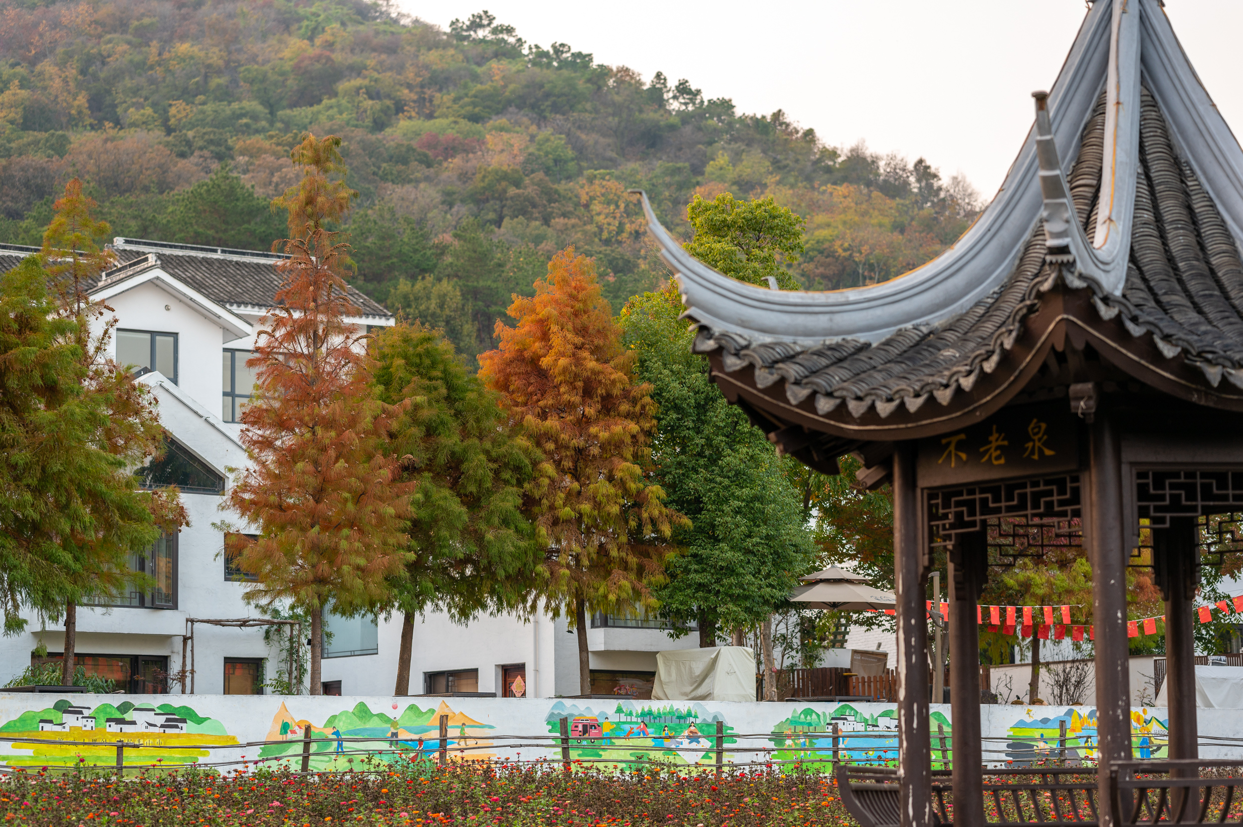 南京浦口老山不老村游,浦口老山不老村一日游