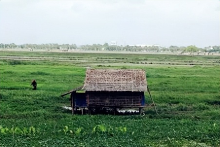 缅甸女子被判30年,缅甸女人未婚先孕