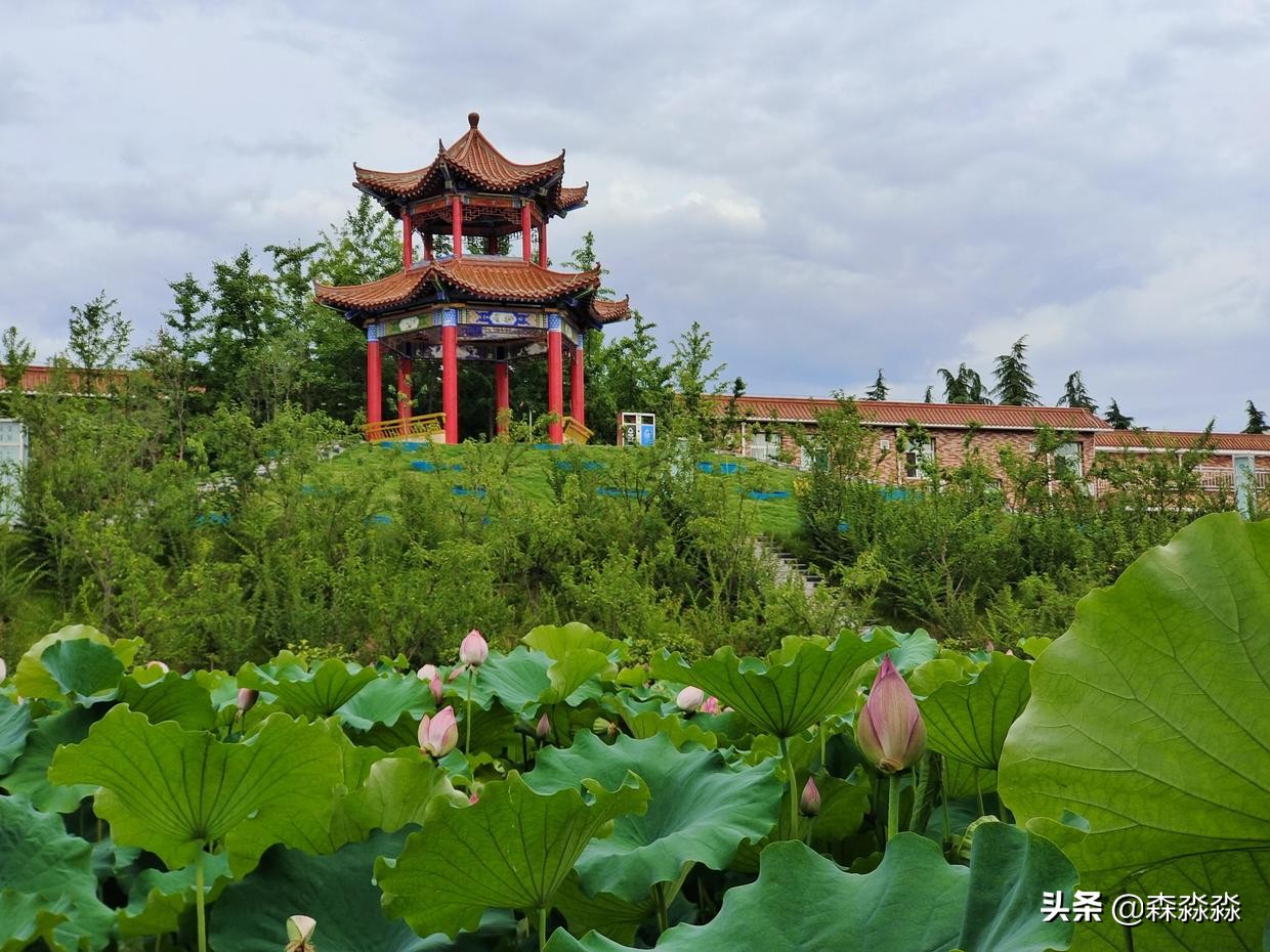 西京学院，C位出道，实现平凡且伟大的梦想