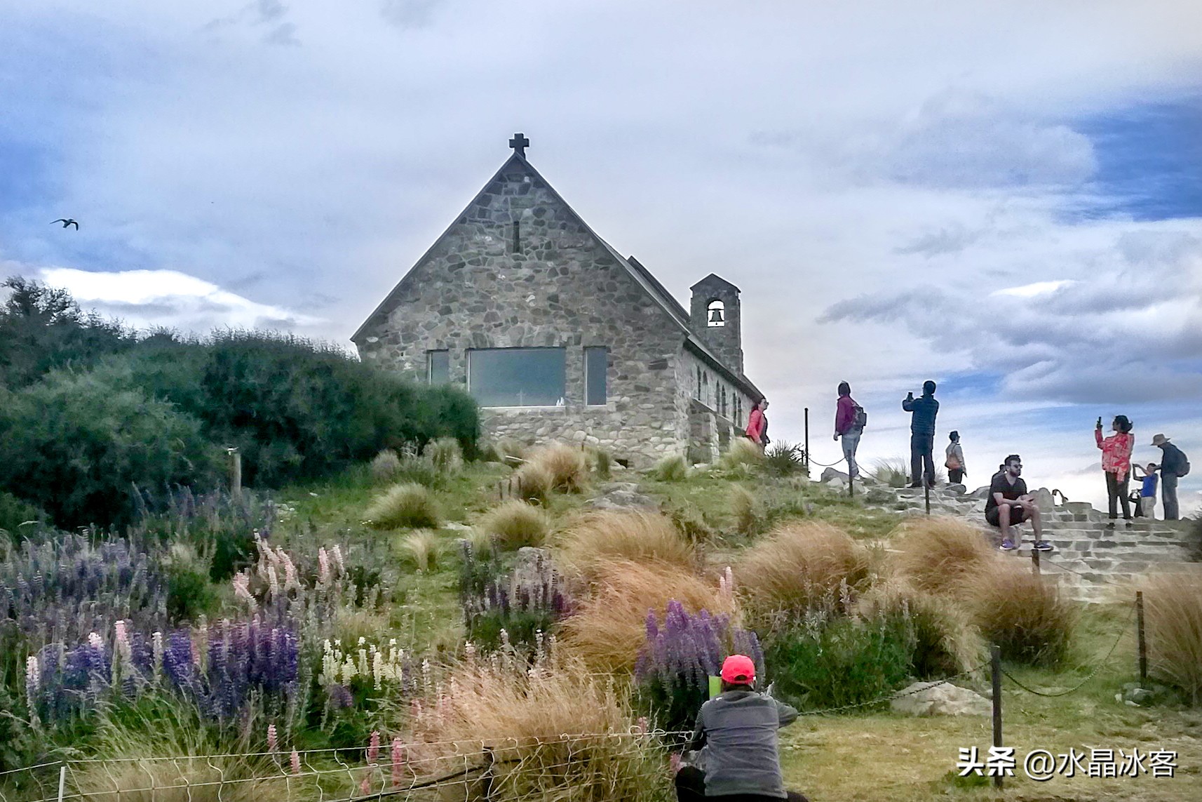 南岛新西兰之旅,新西兰之南岛
