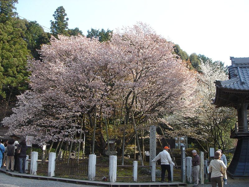 日本药企收购中国药企,百年药企被日本收购