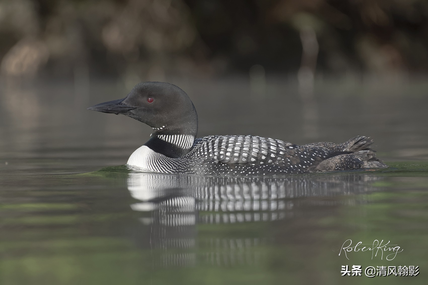 尼康d850拍照有多强,摄影器材篇尼康d850