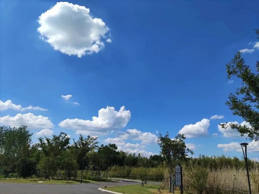 茅山国学文化亲子游,茅山民俗文化艺术