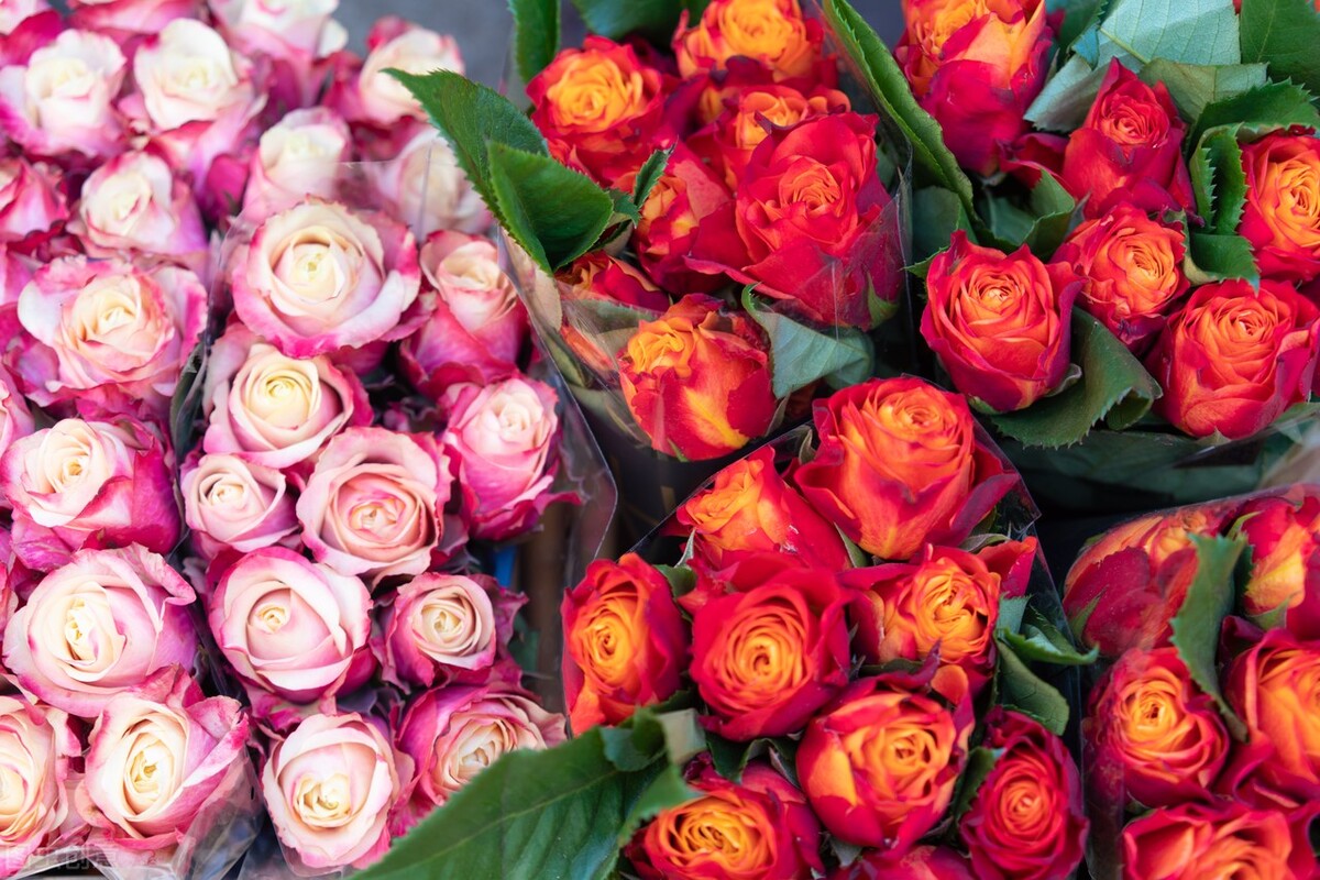 闺女上学谈恋爱怎么办,养女在家里没地位27岁不敢谈恋爱