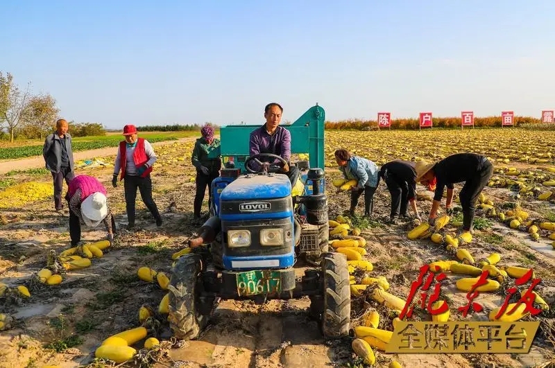 庆阳市双轮驱动三化并进,庆阳双轮驱动三化并举