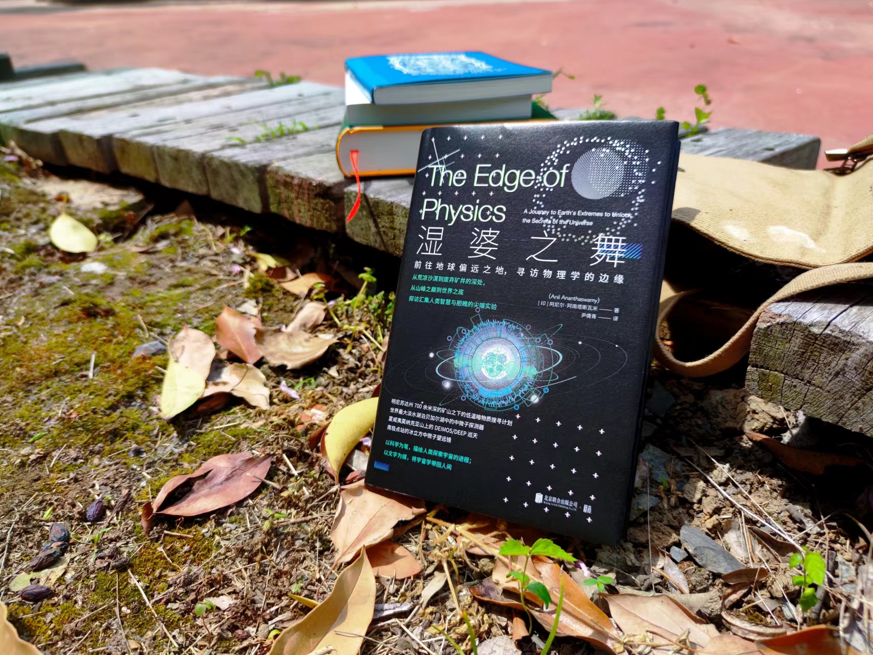 湿婆之舞小说,湿婆之舞电影音乐