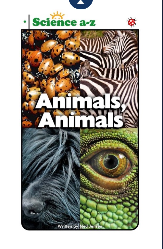 什么是大名鼎鼎的LearningA-Z?全球最详细的中文版图文视频介绍