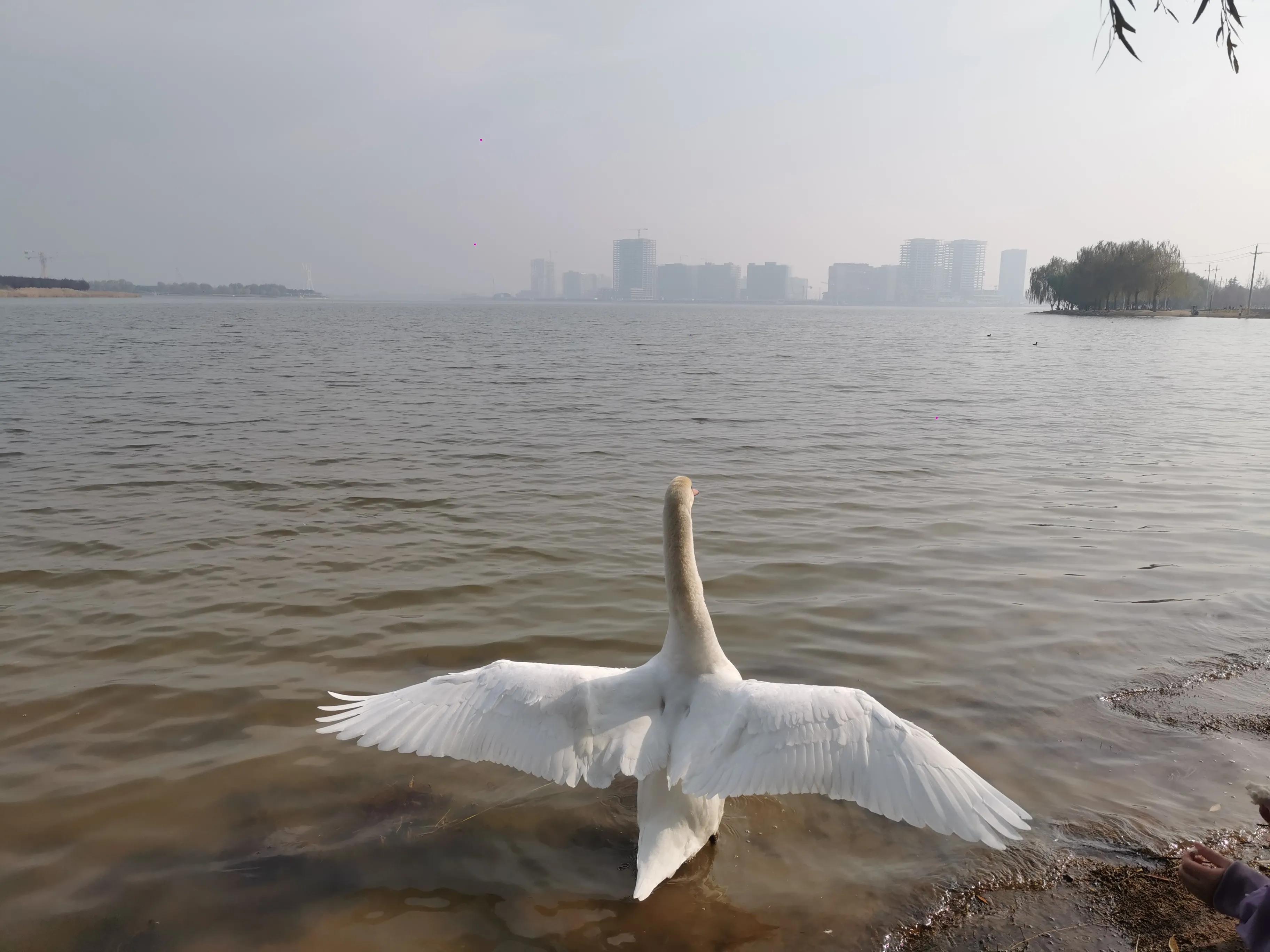 郑州夏季周末带孩子去哪里玩好,郑州周末带孩子去哪里玩比较好