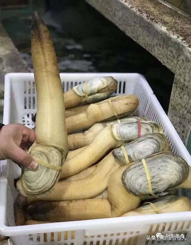 世界顶级海鲜食材,世界顶级的海鲜视频