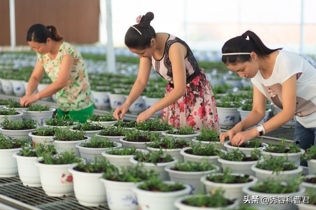 2023中药材发展指导,中药材保护和发展规划2015-2020解读