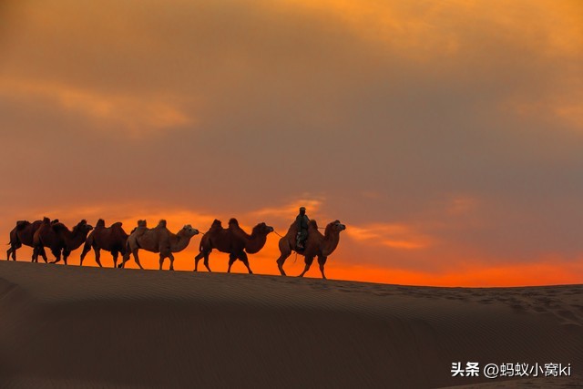世界五大沙漠,内蒙古九大草原五大沙漠