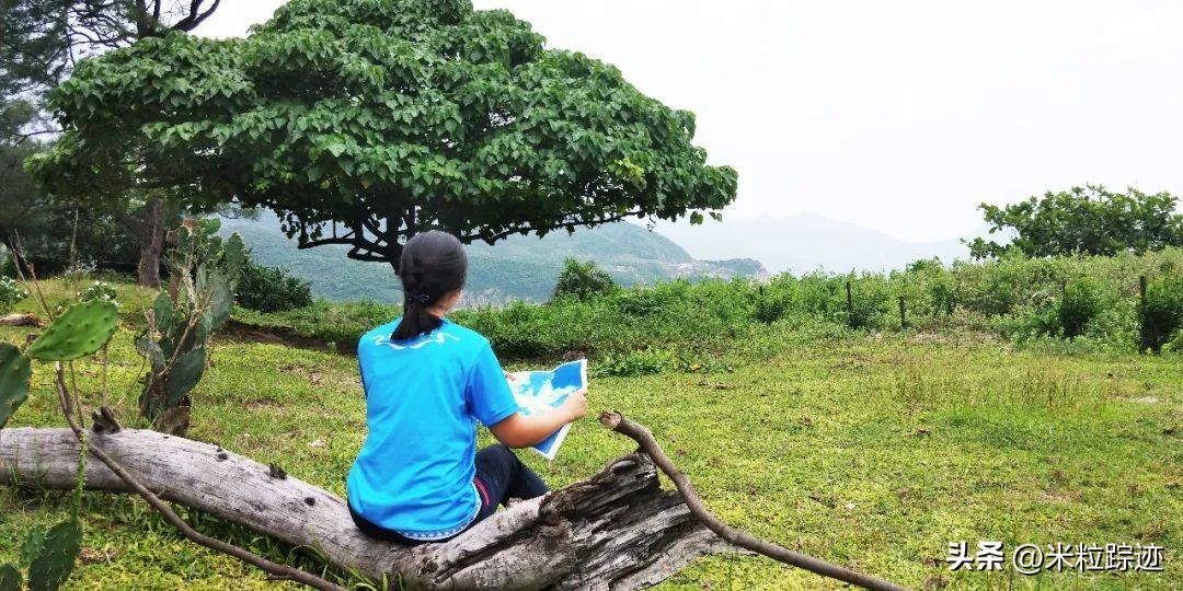 麦理浩径徒步露营全程攻略,香港麦理浩径十段露营攻略