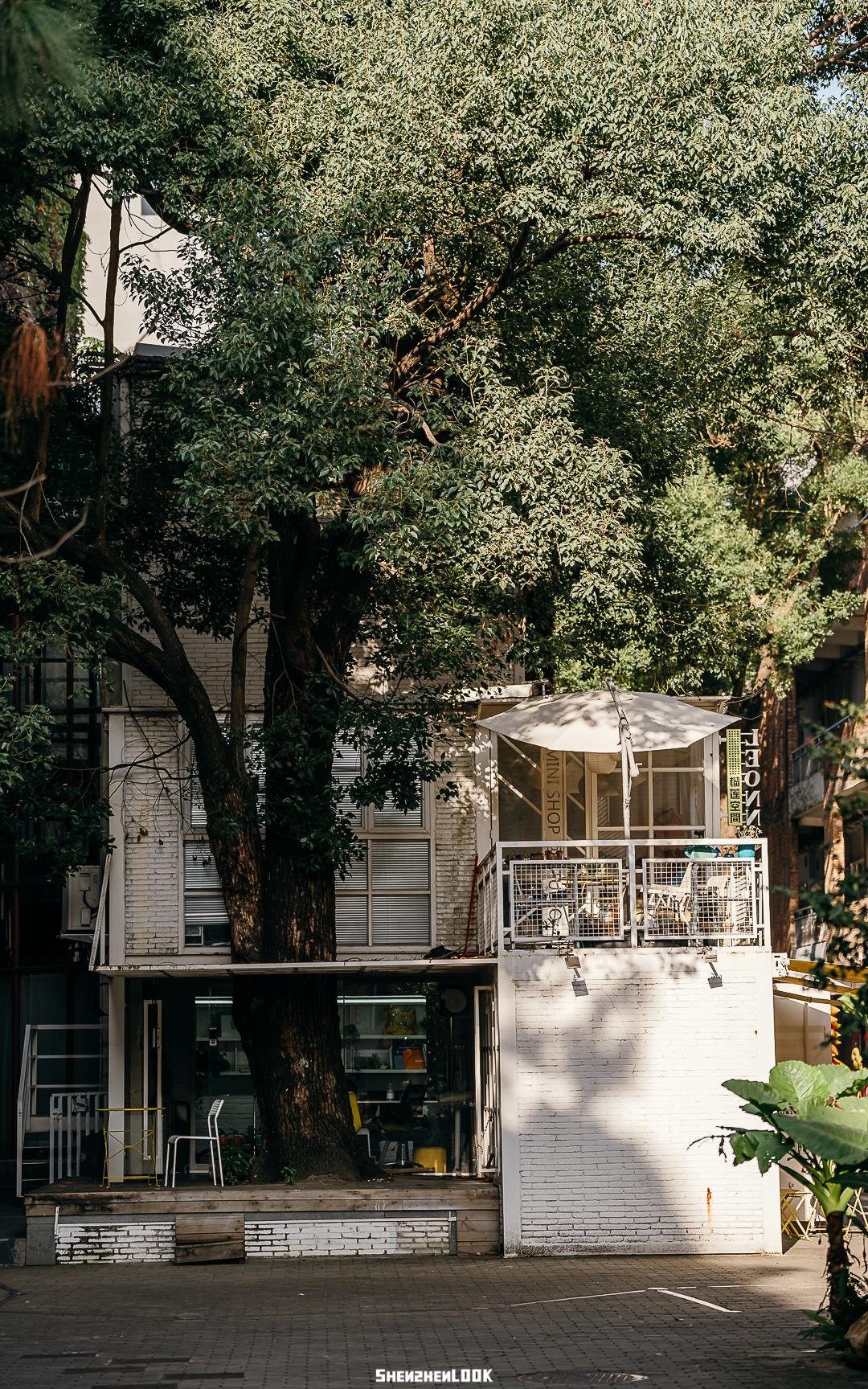 大美深圳全部视频,大美宝安