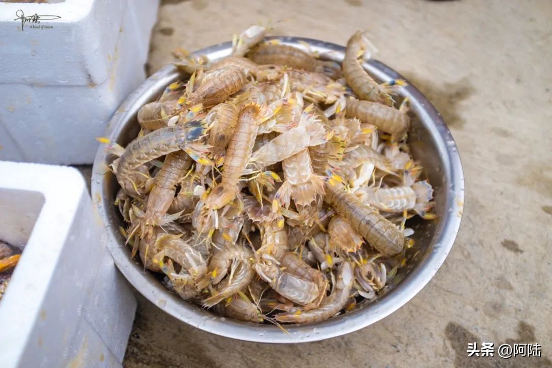 去舟山朱家尖住哪里方便,自驾游到舟山朱家尖怎么安排住宿