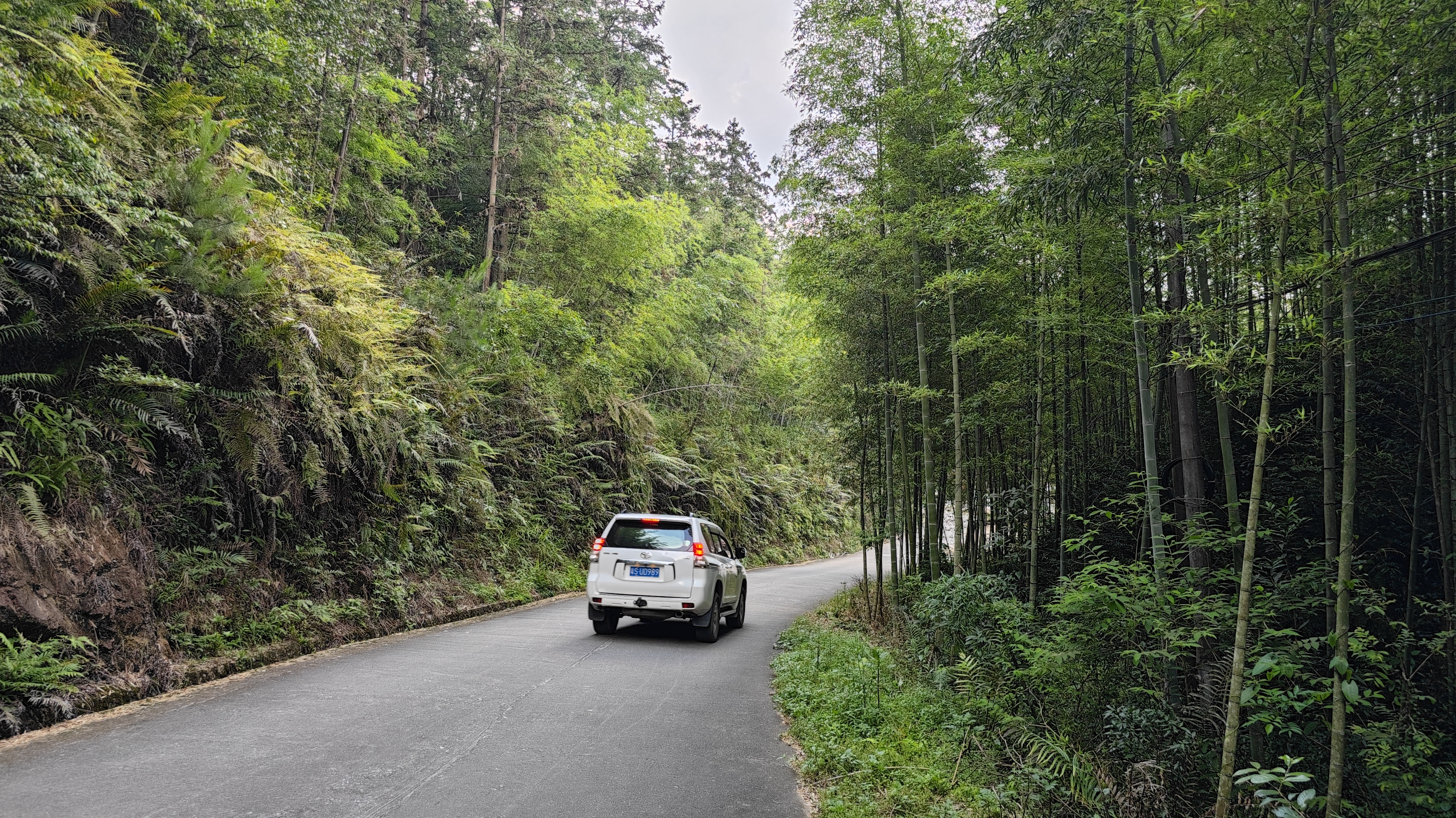 惠州夏日避暑胜地南昆山,惠州南昆山溯溪玩水的地方