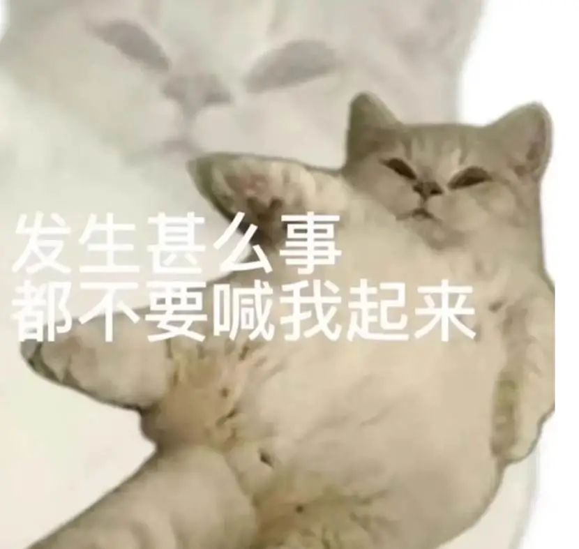 七匹狼腰带搞笑视频,被七匹狼打是一种什么感觉