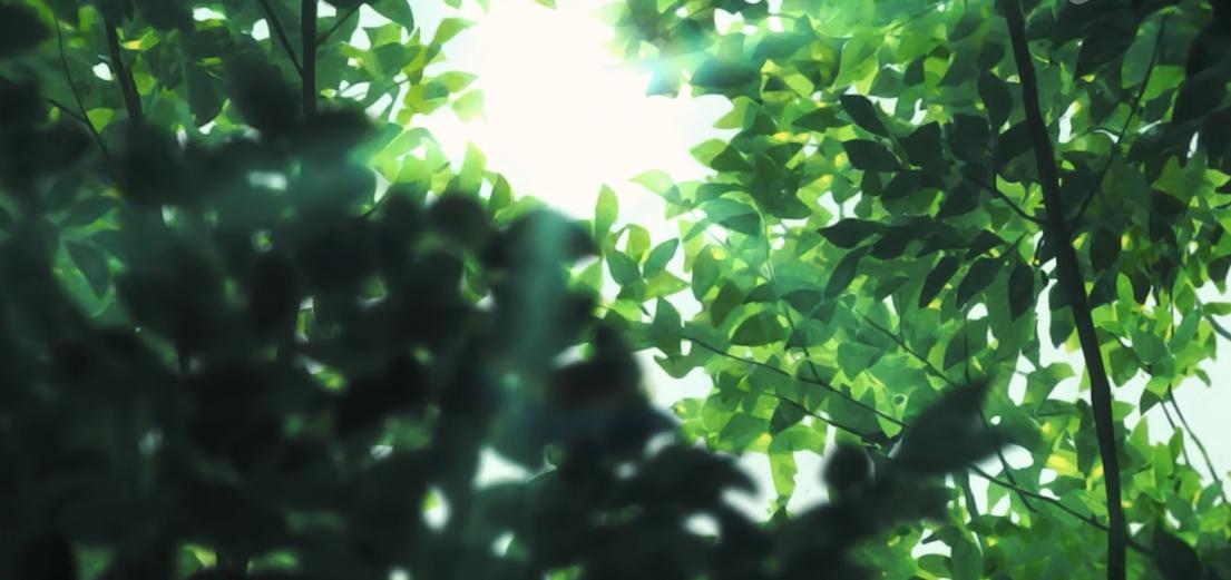 宅家如何搞钱,7个宅在家也能赚钱的靠谱副业