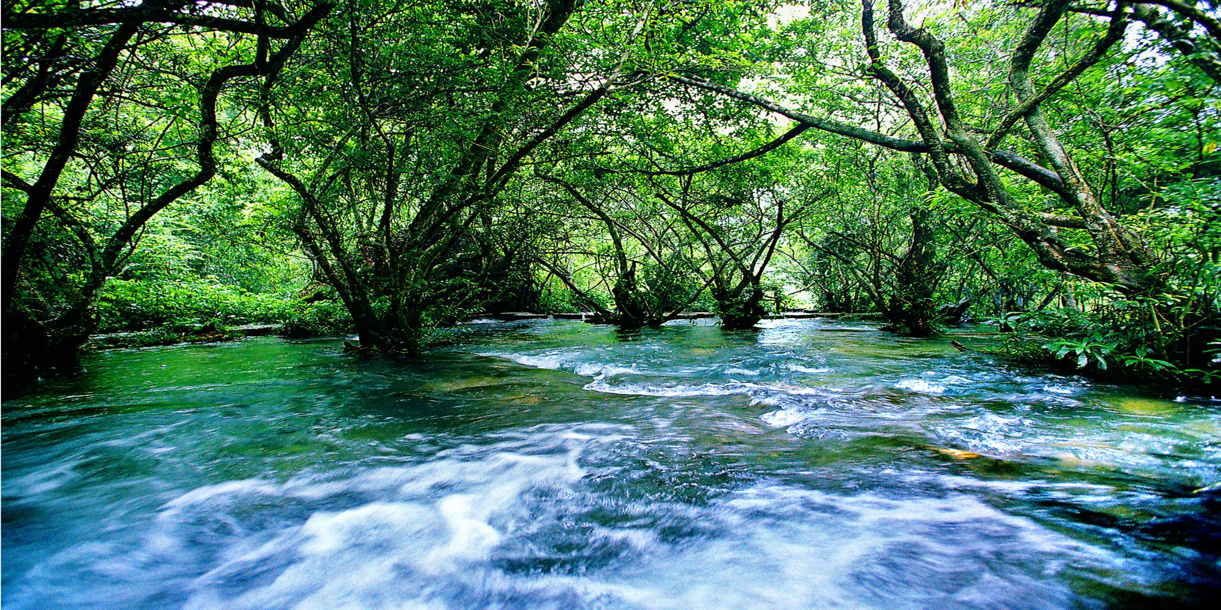 贵州云南四川哪里的自然景观更美,云南十大景观排名图