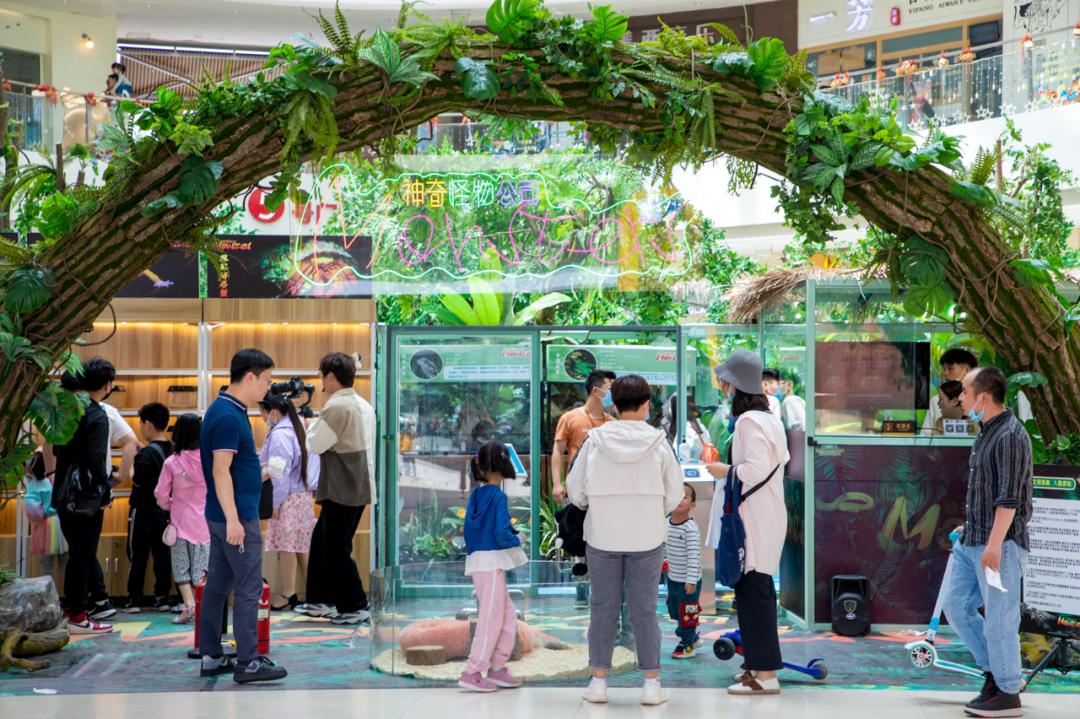 洞见未来完整视频,洞见未来聚焦数码