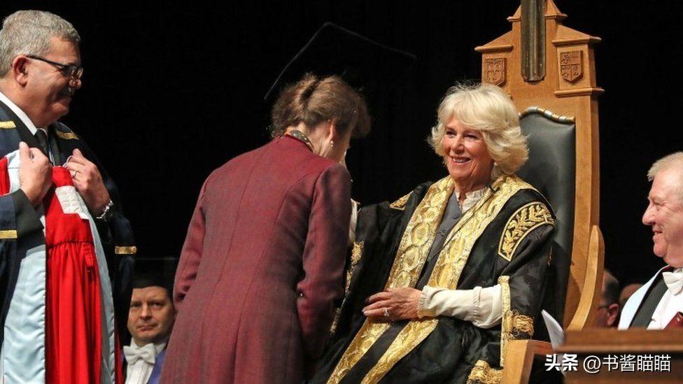 卡米拉王后的孙辈 (卡米拉王后的孙辈照片)