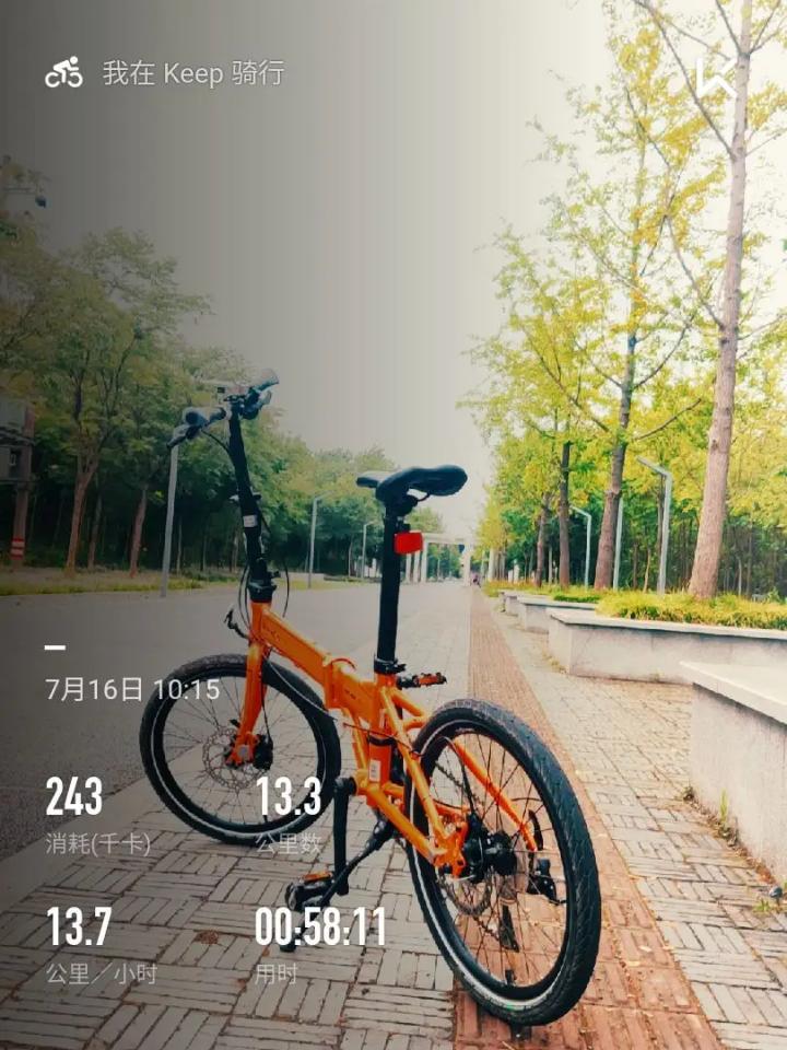 国内自行车的发展趋势,自行车在国内的发展历程