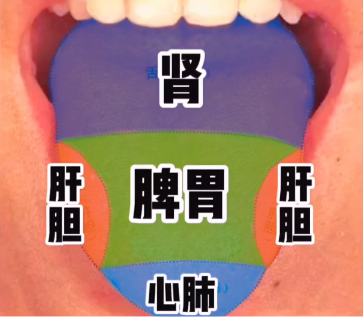 舌诊能准确的看出病症吗,舌诊主要看舌苔吗