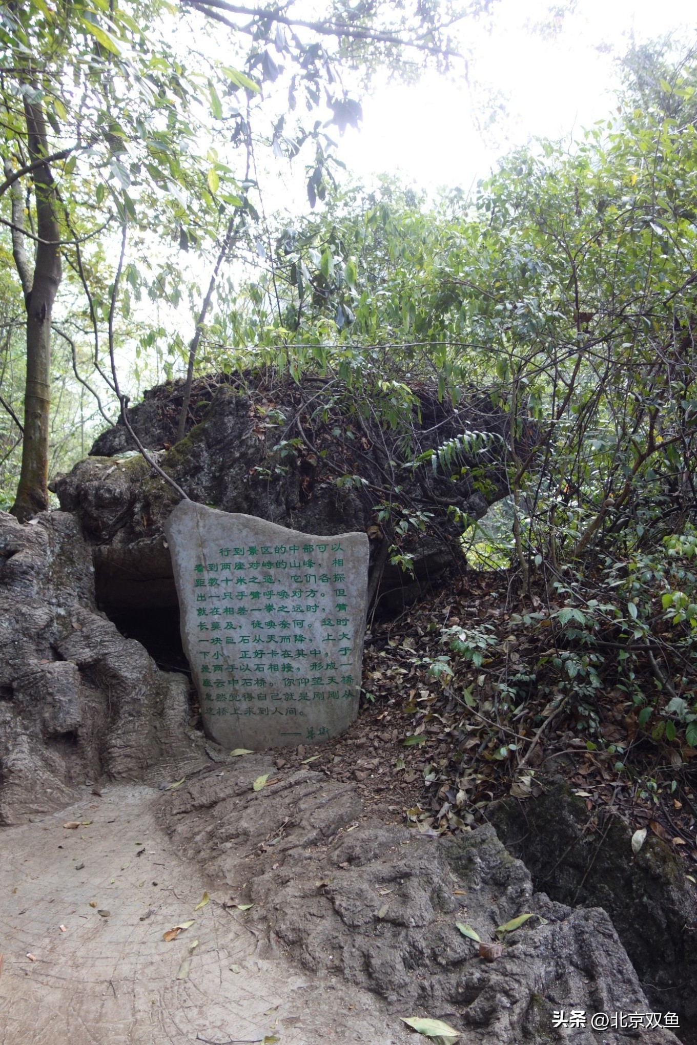 贵州黄果树最美的地方,贵州黄果树旅游攻略自由行