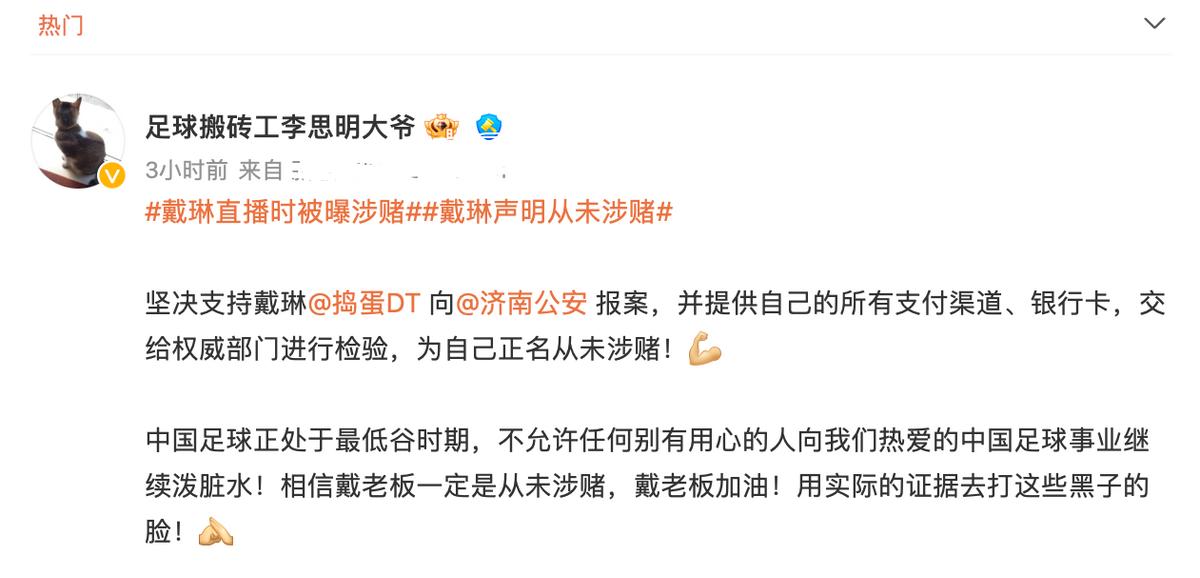 戴琳李铁,戴琳说李铁的视频