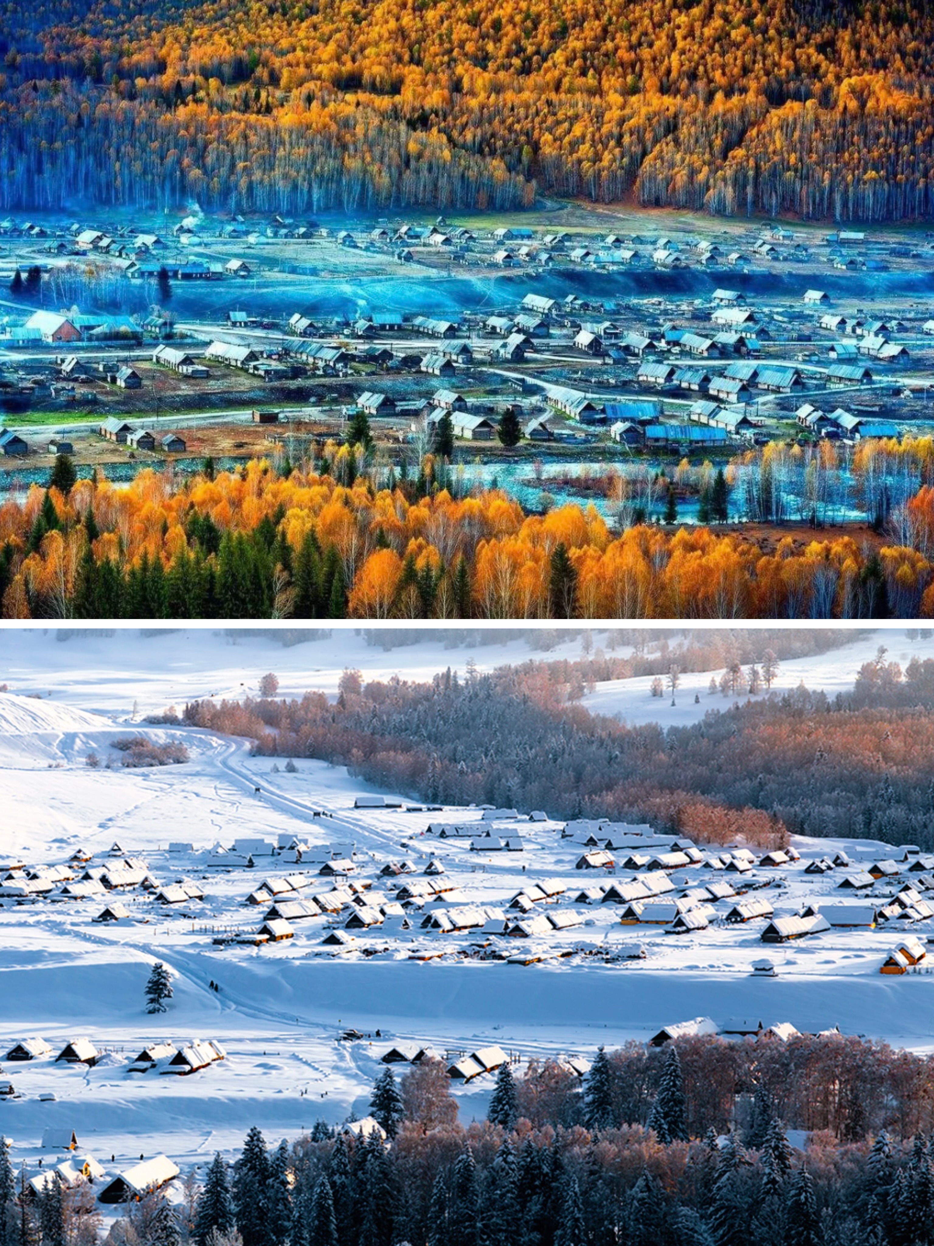 麦西拉我的阿勒泰什么时候上映,麦西拉我的阿勒泰结局