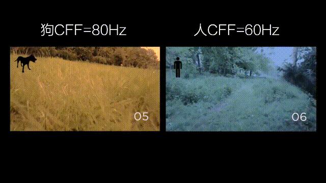 元宇宙给我们带来的影响,元宇宙对普通生活的影响