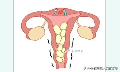 女生身体指标不正常有哪些,女生身体真的很脆弱吗