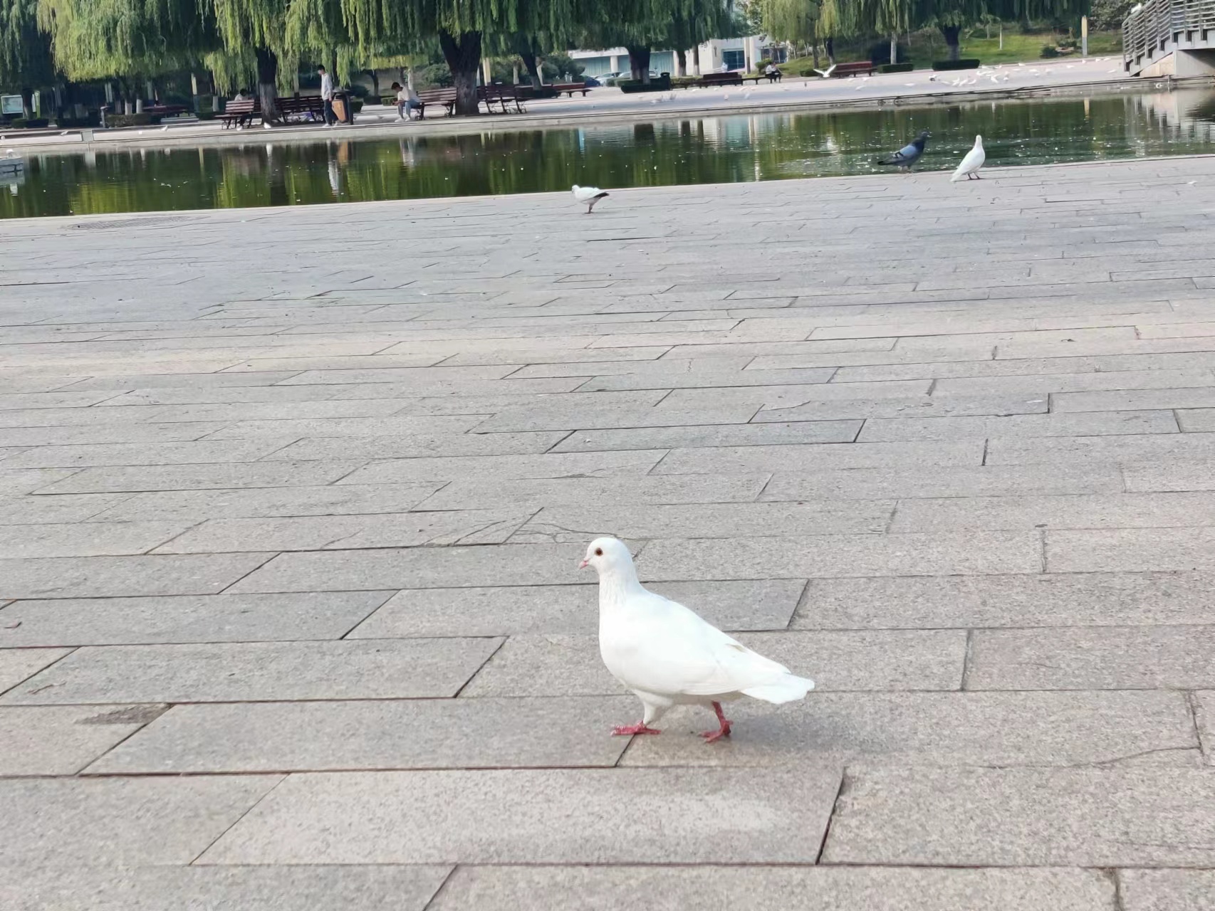 全网小可爱搞笑视频,全网最全的小可爱