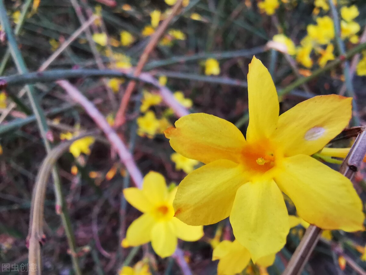七律古诗注释,古诗七律全文