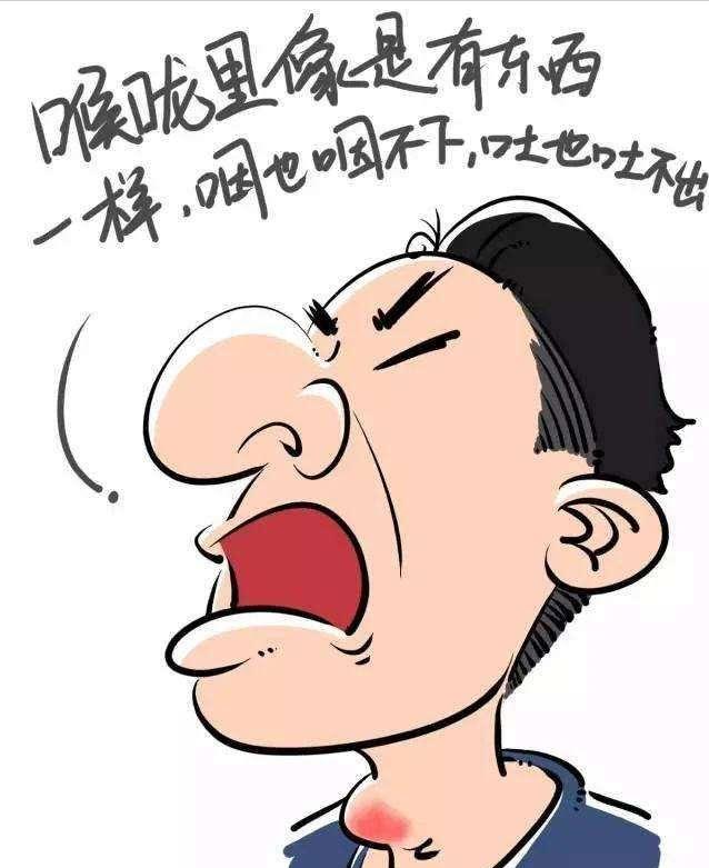 中医辨证论治体系,中医四诊八纲脏腑学说