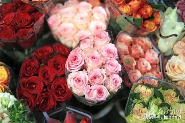 多地99朵玫瑰花束突破千元，沪上花商进货靠“抢”……还买吗？