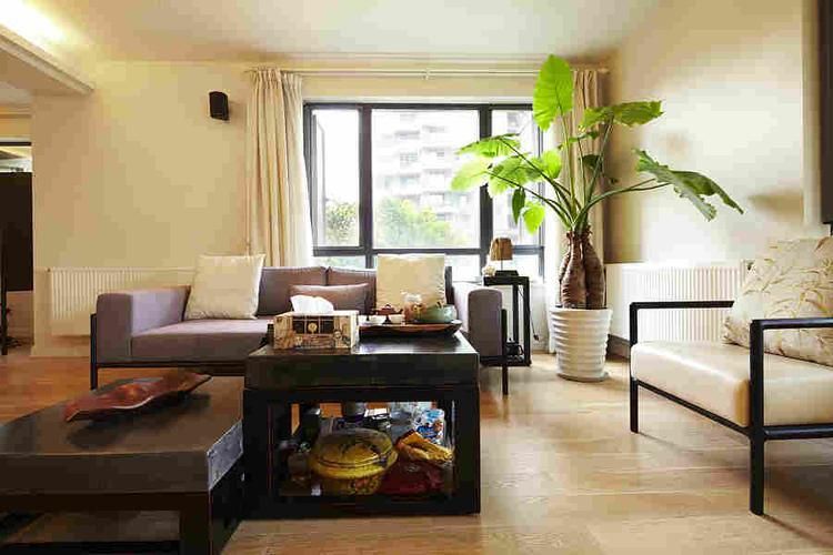 阳台顶部绿植氛围布置,绿植和吊灯氛围感