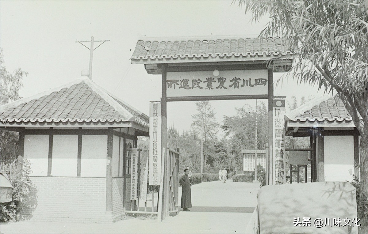 川猪变种记（中）转折