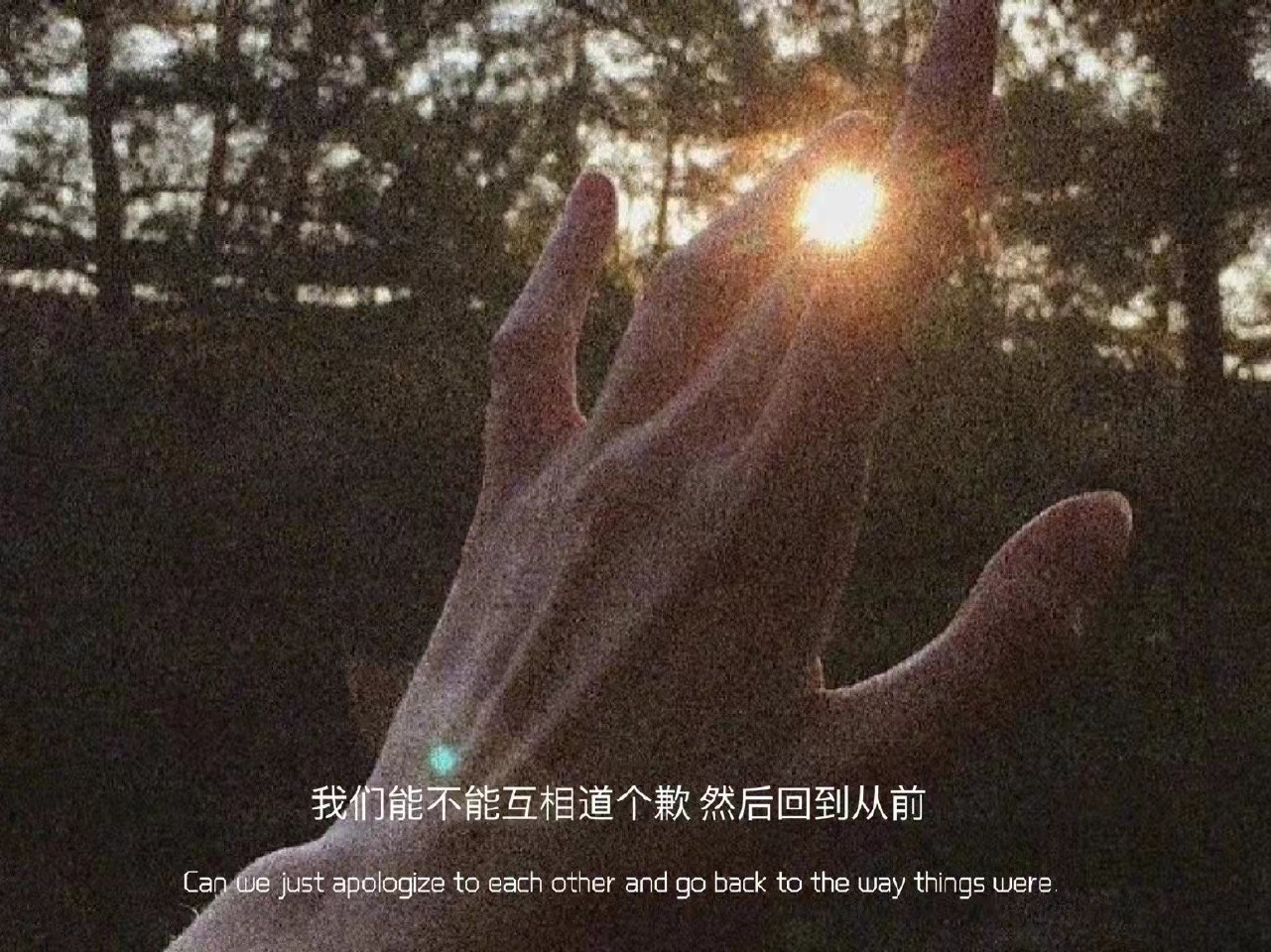 适合一辈子不换的qq个签,适合当qq个签的话