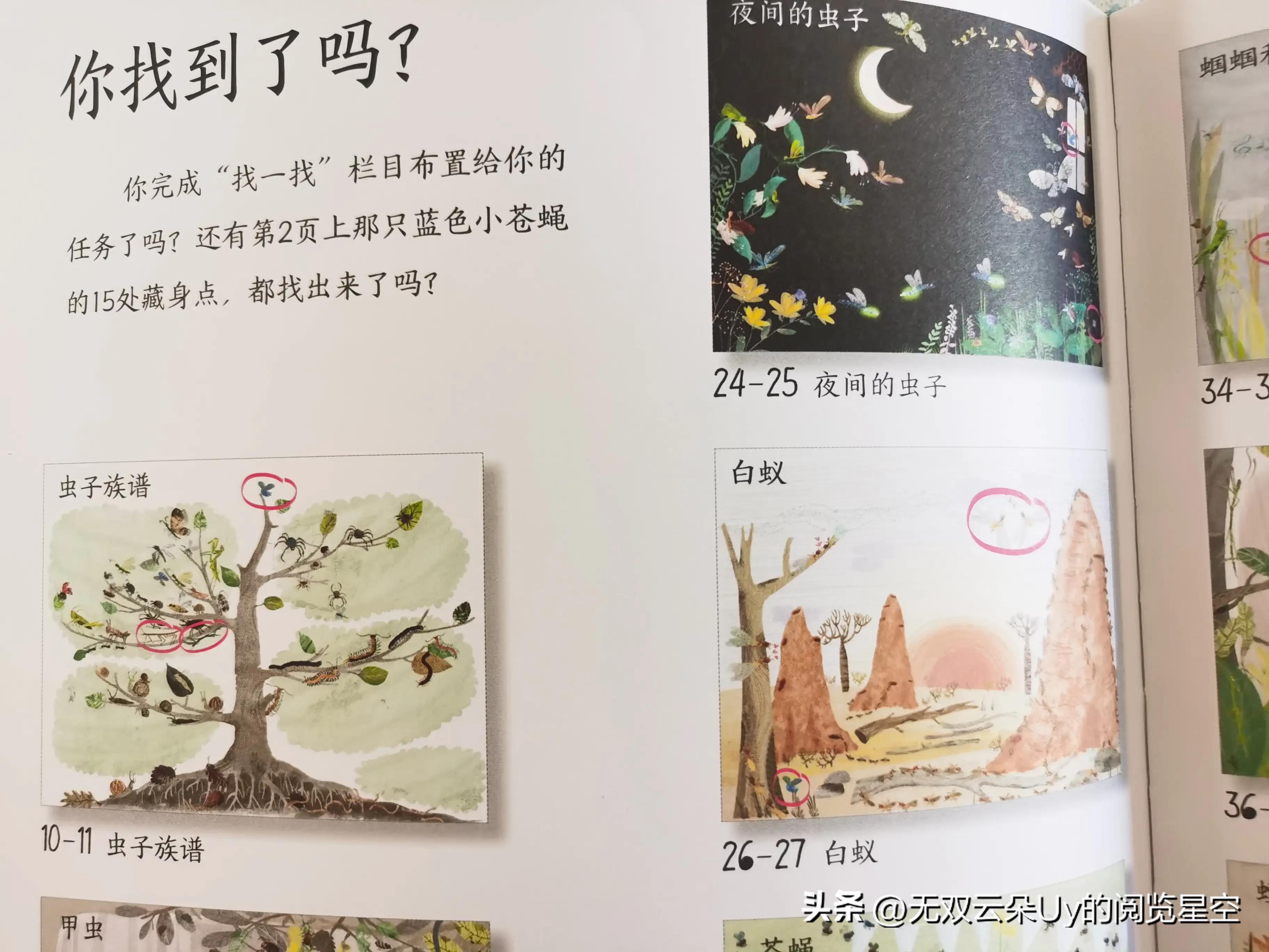 【绘本阅读⑦】虫虫！！！别怕，都躲进书里啦！找到它！