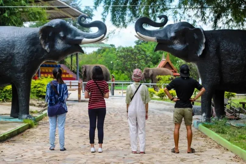 泰国曼谷旅游必去十大景区,泰国野生动物园亲子游