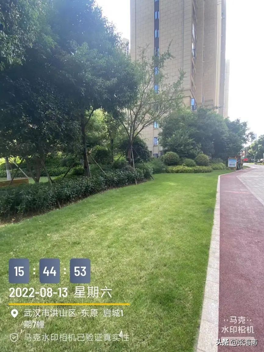 物业重新选聘流程,关于选聘前期物业的情况说明