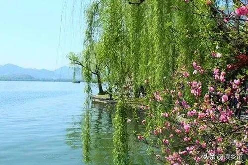 读乡馆,读故乡的感悟20字