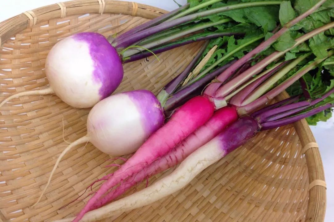 根类食物大全 (5种根菜类的食材)