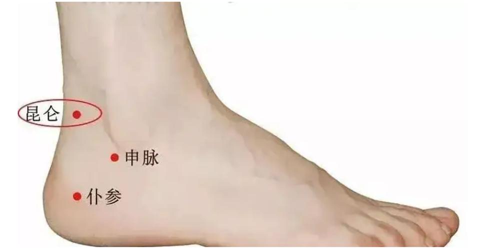 昆仑穴——调理“脚踝扭伤、足跟痛、脊柱侧弯”要穴