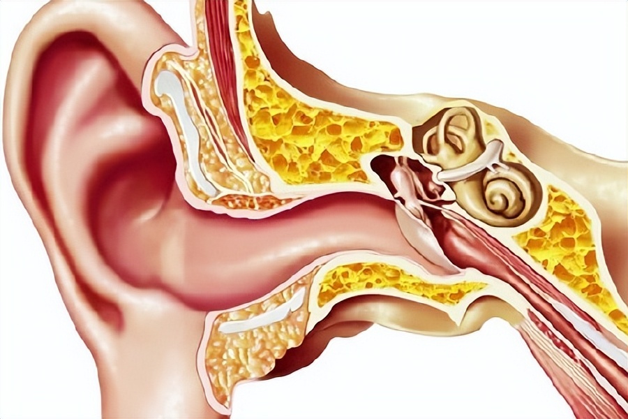 突发性耳聋的诊断与治疗专家共识,突发性耳聋病因病机